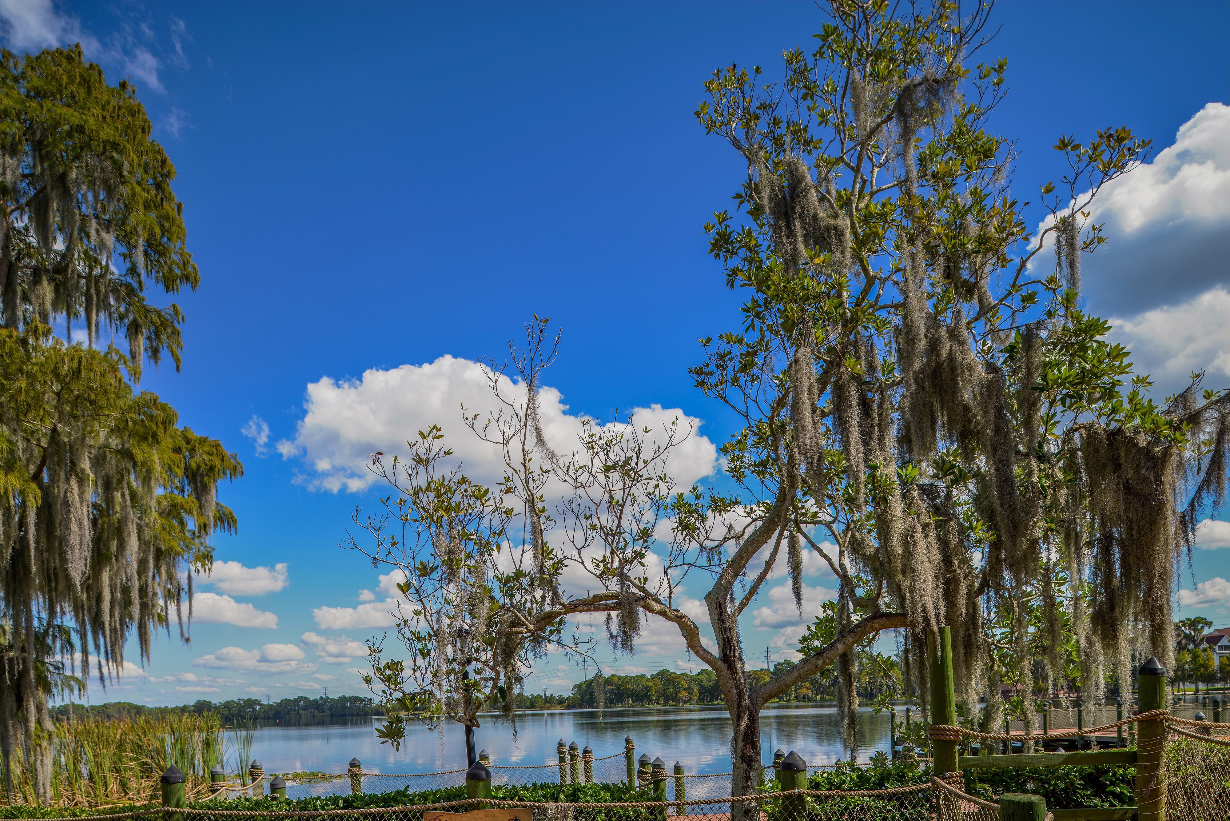 Bryan'S Spanish Cove Lake Buena Vista Buitenkant foto